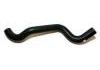 Radiator Hose:3886480