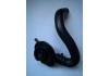 Coolant Pipe:2038300396