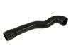 Radiator Hose:11 53 1 433 340
