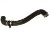 Radiator Hose:211 501 56 82