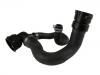 Radiator Hose:31 261 407