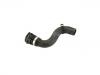 Radiator Hose:PCH501940