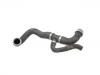 Radiator Hose:211 501 46 82