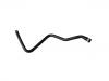 Radiator Hose:1134600