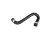 Radiator Hose:1134877